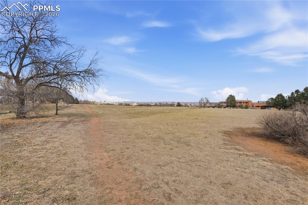 Image 19 of 24: Other