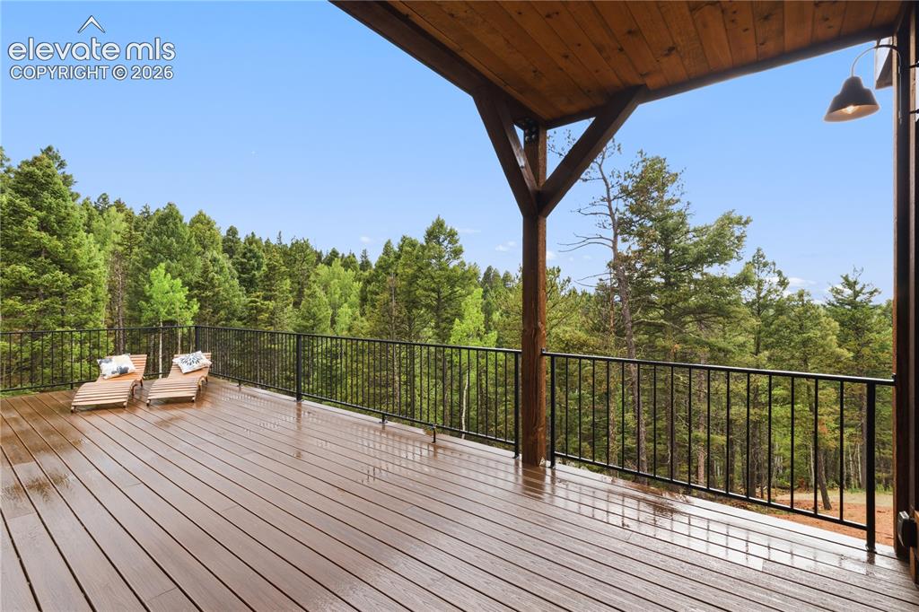 Image 10 of 46: Main Level back deck 