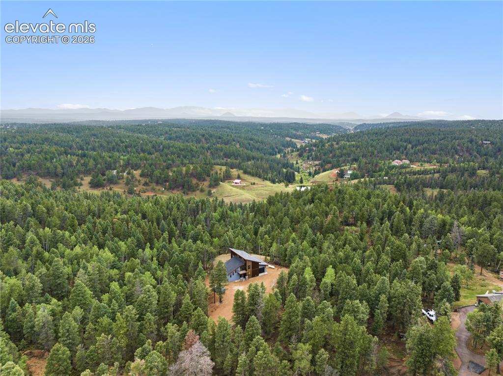 Image 4 of 46: Fully treed 5 acres