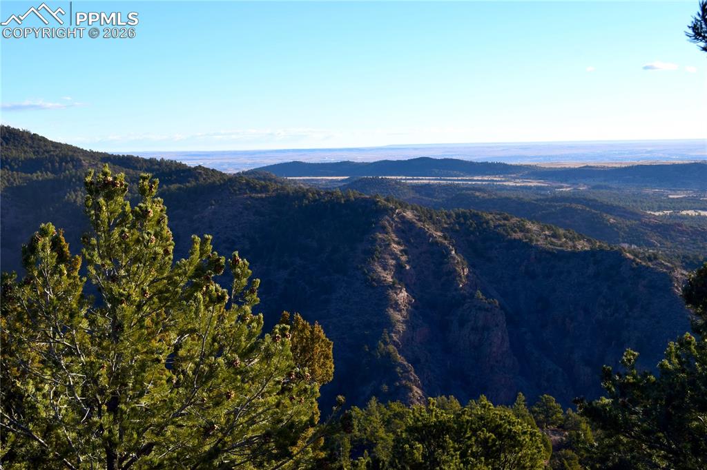 Image 16 of 22: View