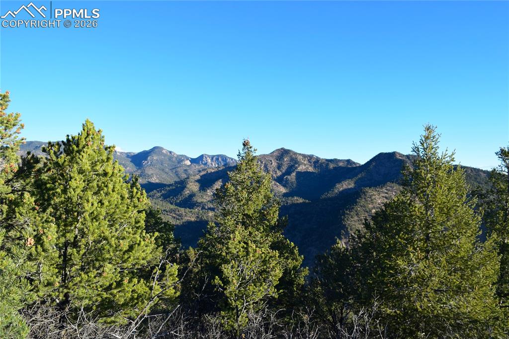 Image 17 of 22: View