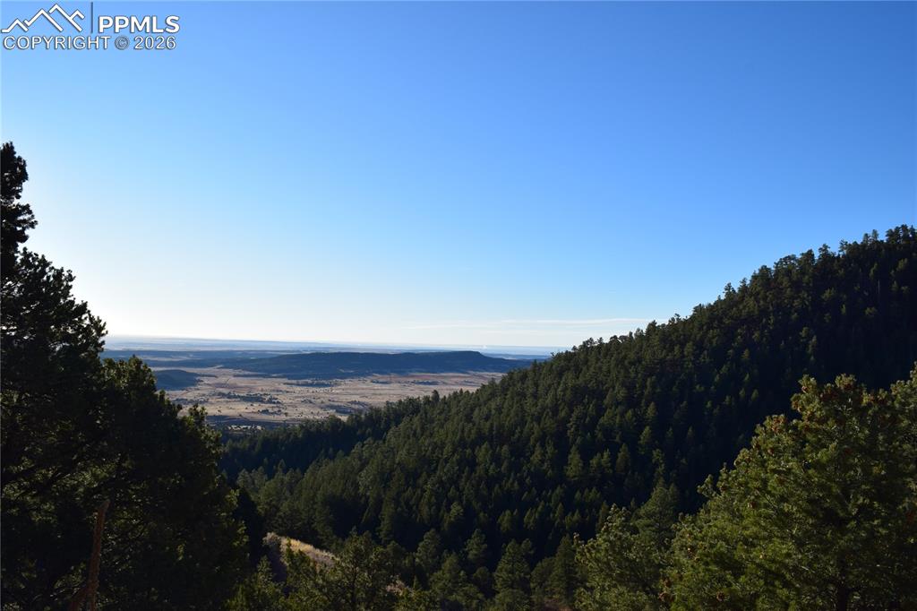 Image 22 of 22: Other