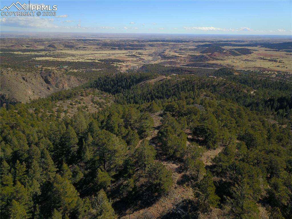 Image 4 of 22: Aerial View