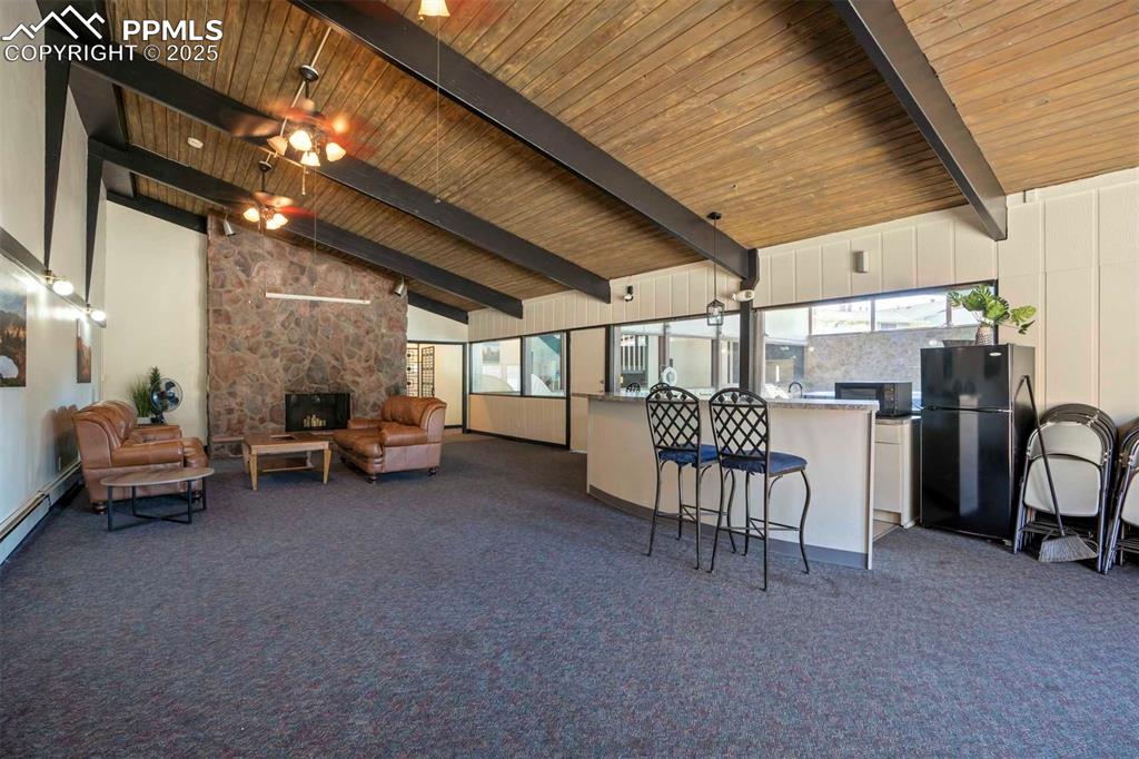 Image 31 of 31: Living room with healthy amount of natural light, a fireplace, dark colored