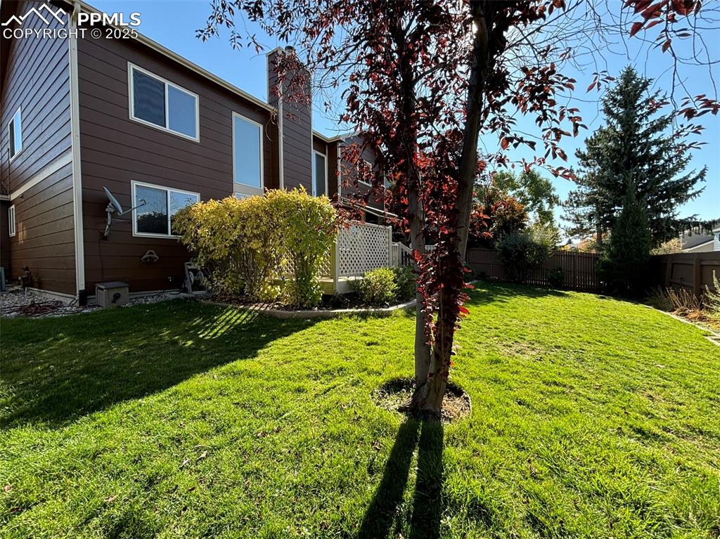 Image 41 of 45: Back of Structure