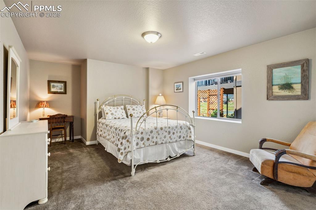 Image 33 of 47: Large Lower Level Bedroom with Walk-in Closet