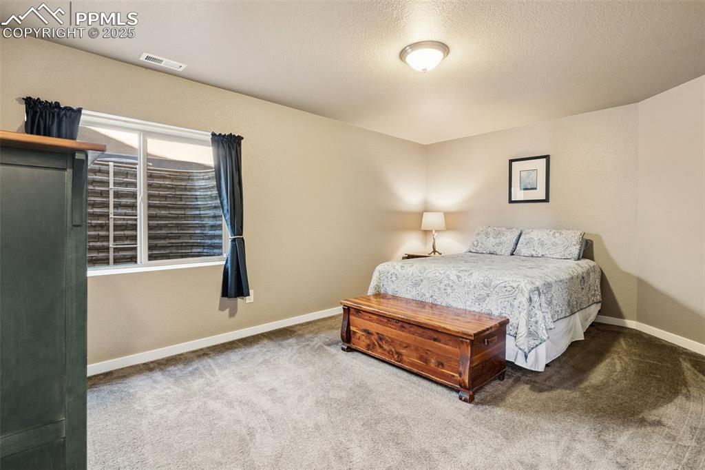 Image 34 of 47: Large Lower Bedroom with Walk-in Closet