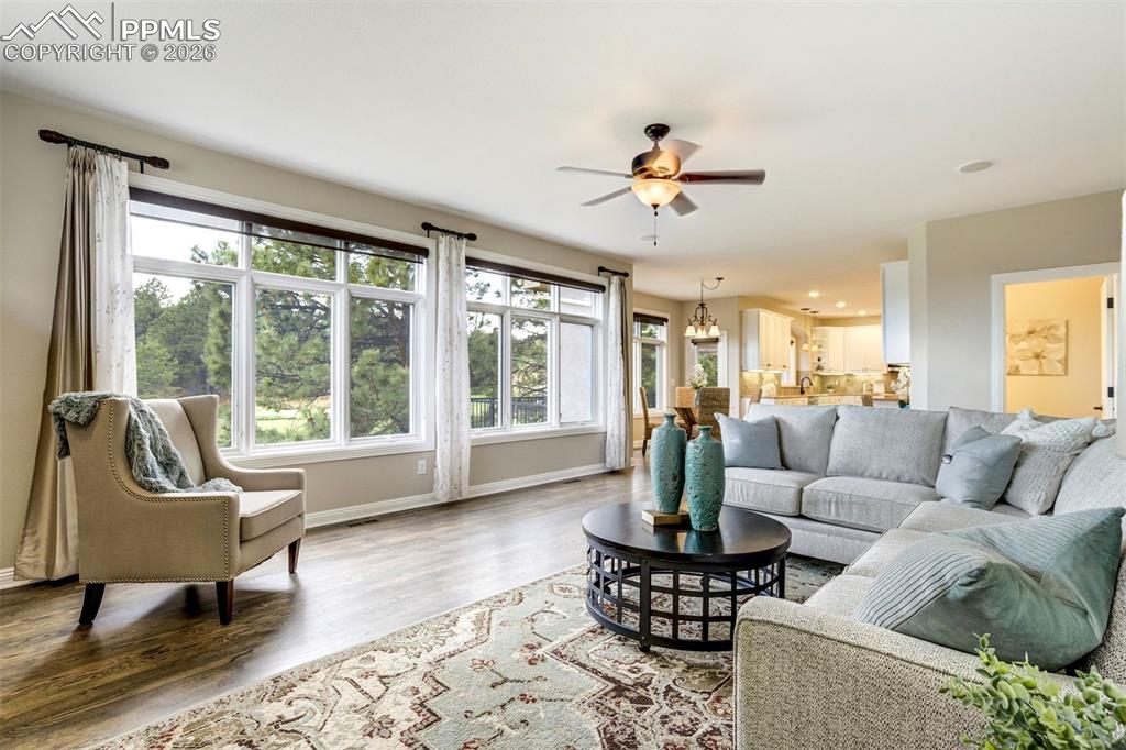 Image 13 of 49: Living Room