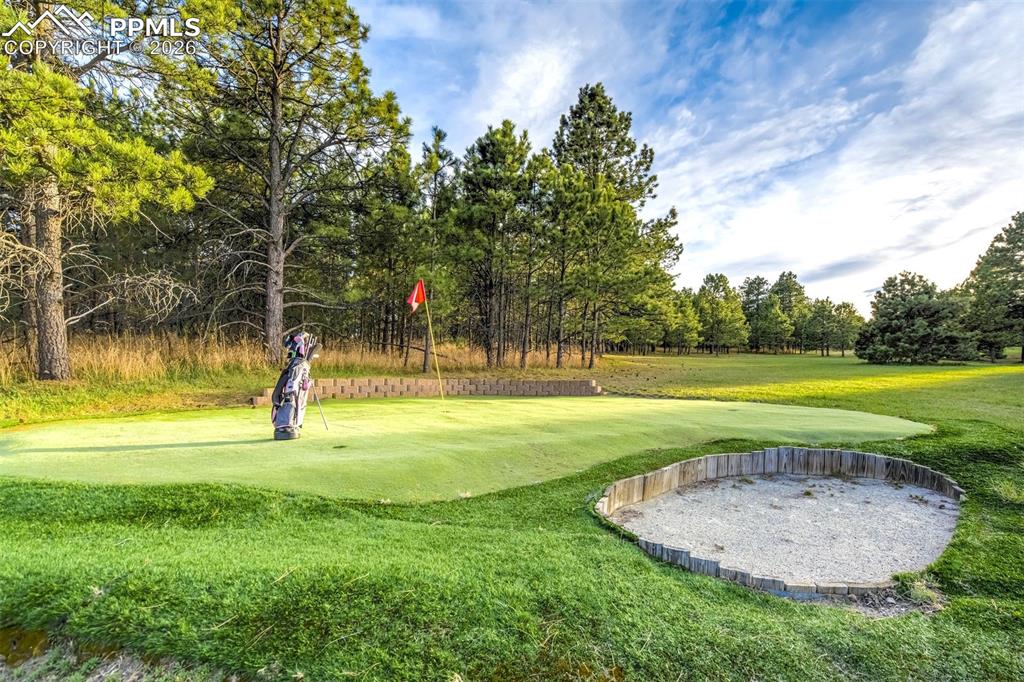 Image 44 of 49: Yard