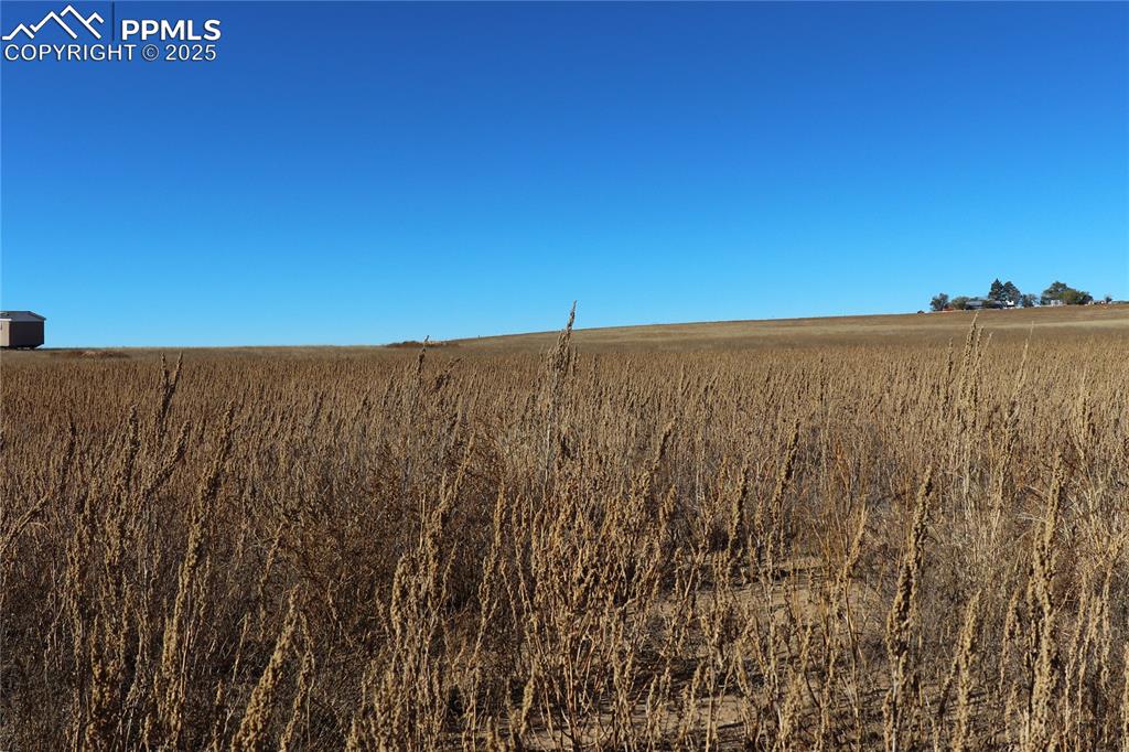 Image 12 of 21: View of undeveloped land with rural landscape