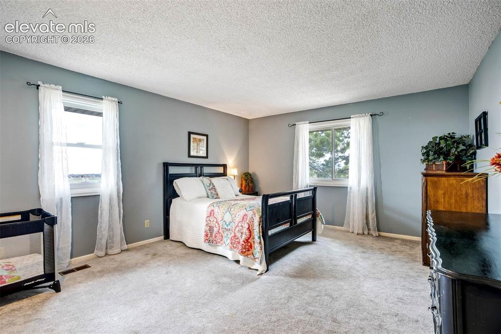 Image 17 of 48: Very large main level bedroom 2 with both southern and west mountain views