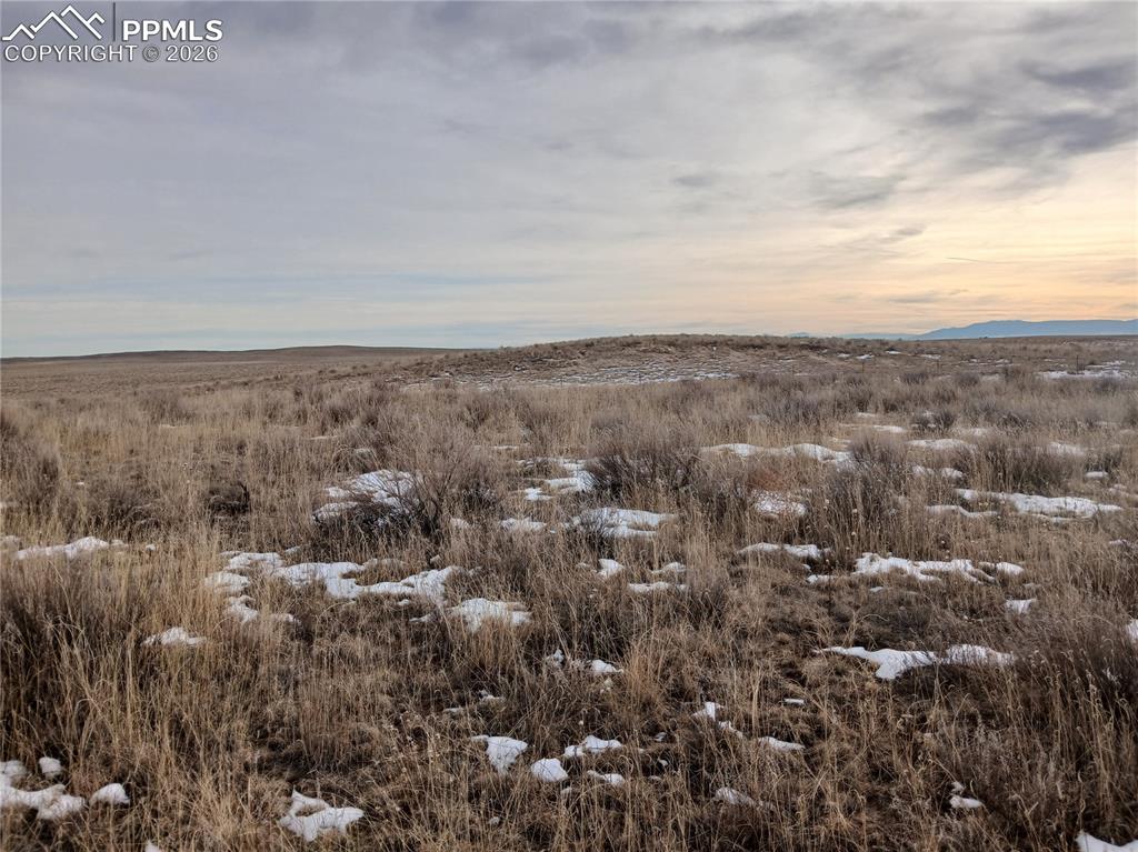 Image 11 of 15: Other