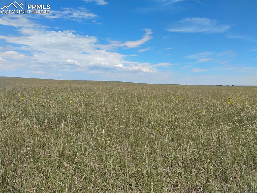 Image 14 of 15: Other