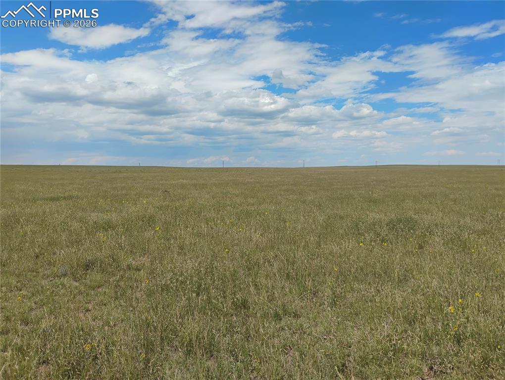 Image 15 of 15: Other