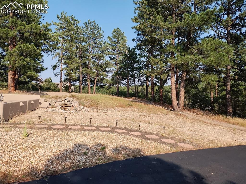 Image 12 of 50: View of yard with view of scattered trees
