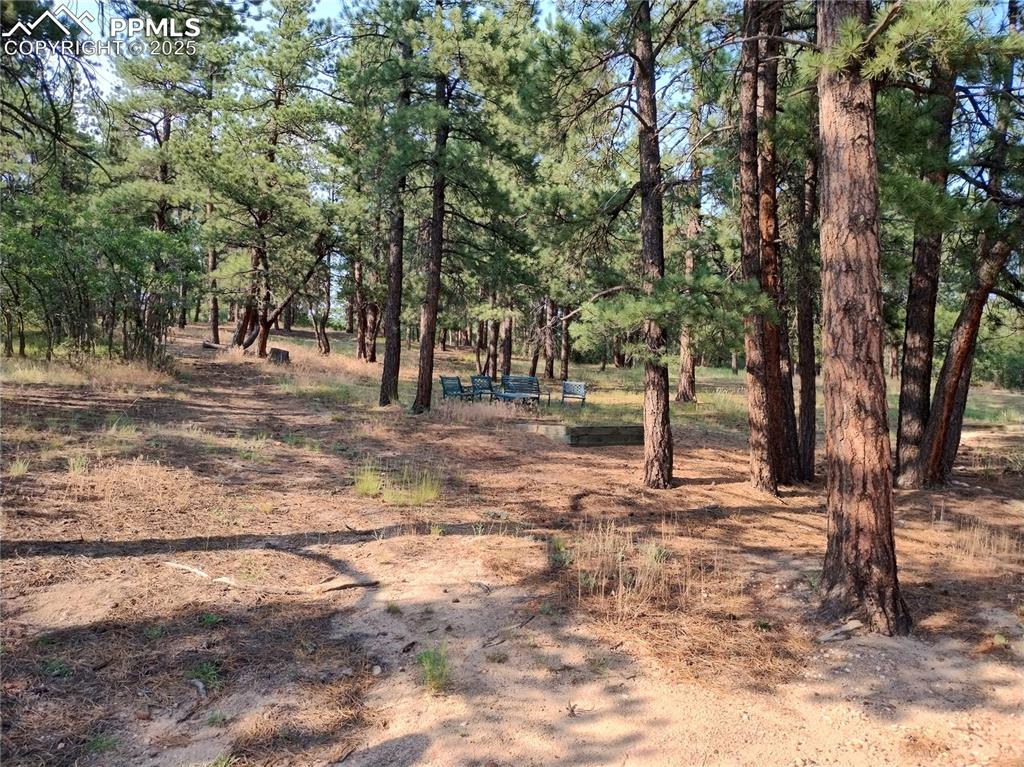 Image 13 of 50: View of nature