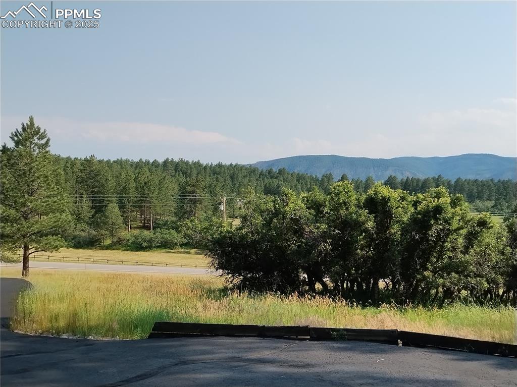 Image 4 of 50: View of mountain backdrop featuring a heavily wooded area