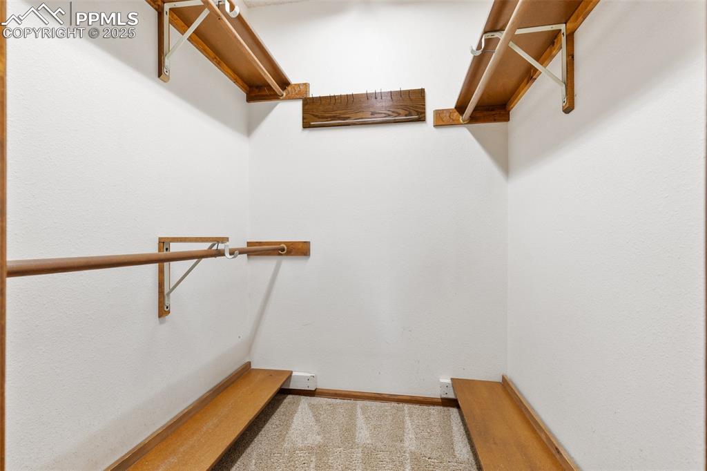 Image 44 of 50: Walk in closet featuring carpet floors