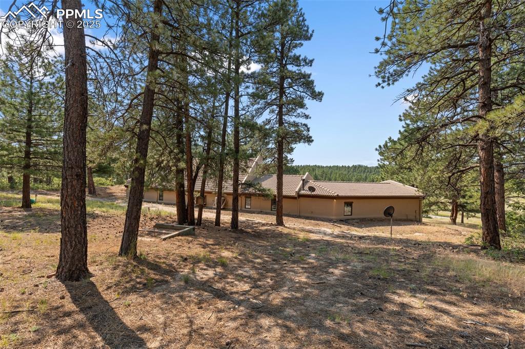 Image 48 of 50: View of yard