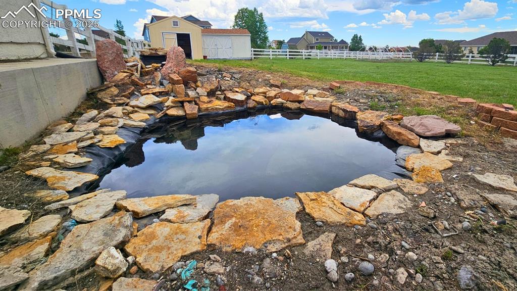 Image 11 of 28: View of yard featuring a storage unit and a small pond