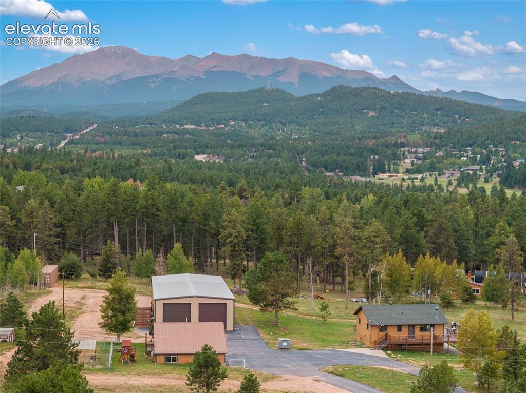 Image 8 of 49: Ariel and Pikes Peak