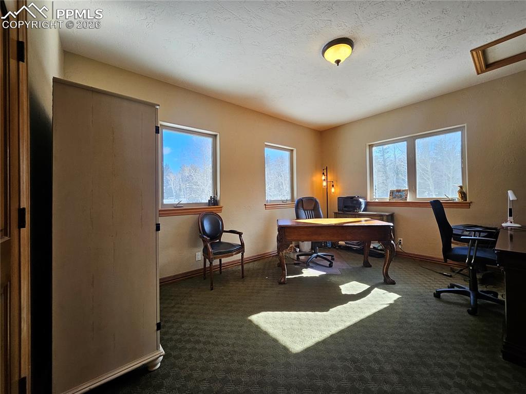 Image 10 of 48: Carpeted home office with healthy amount of natural light - could be used a
