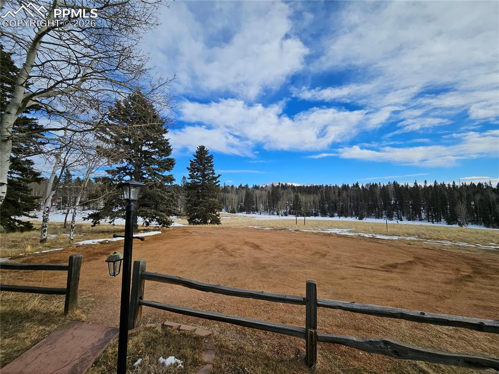 Image 48 of 48: View of Pikes Peak and property trees / land from the cabin