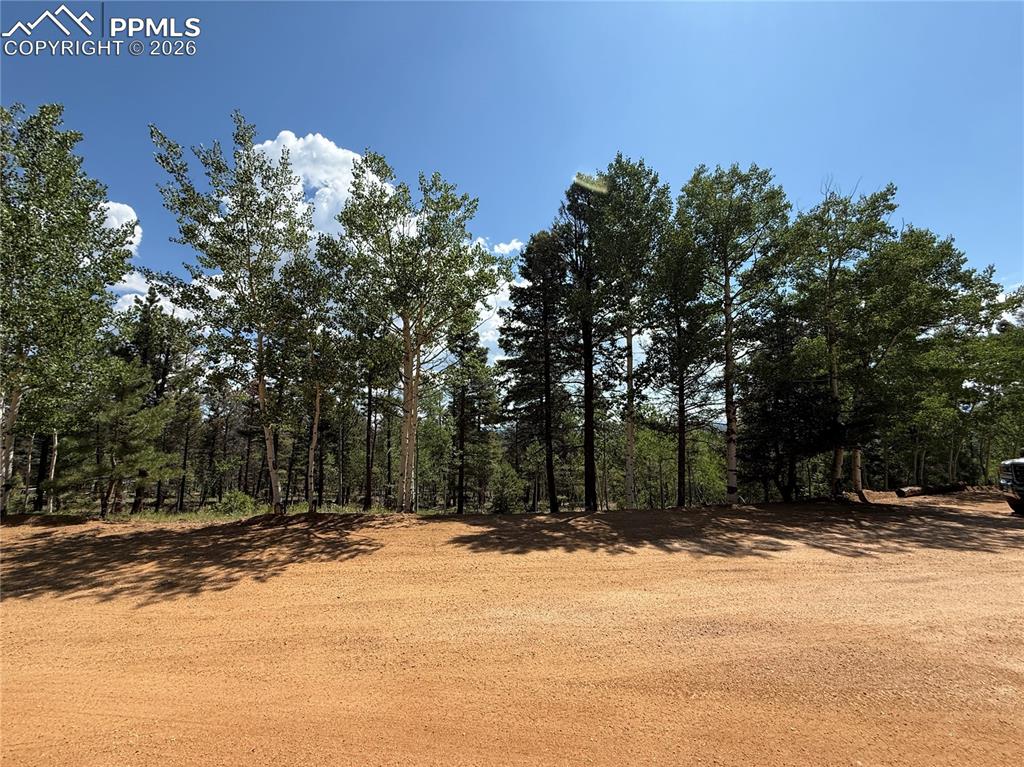 Image 2 of 11: Other