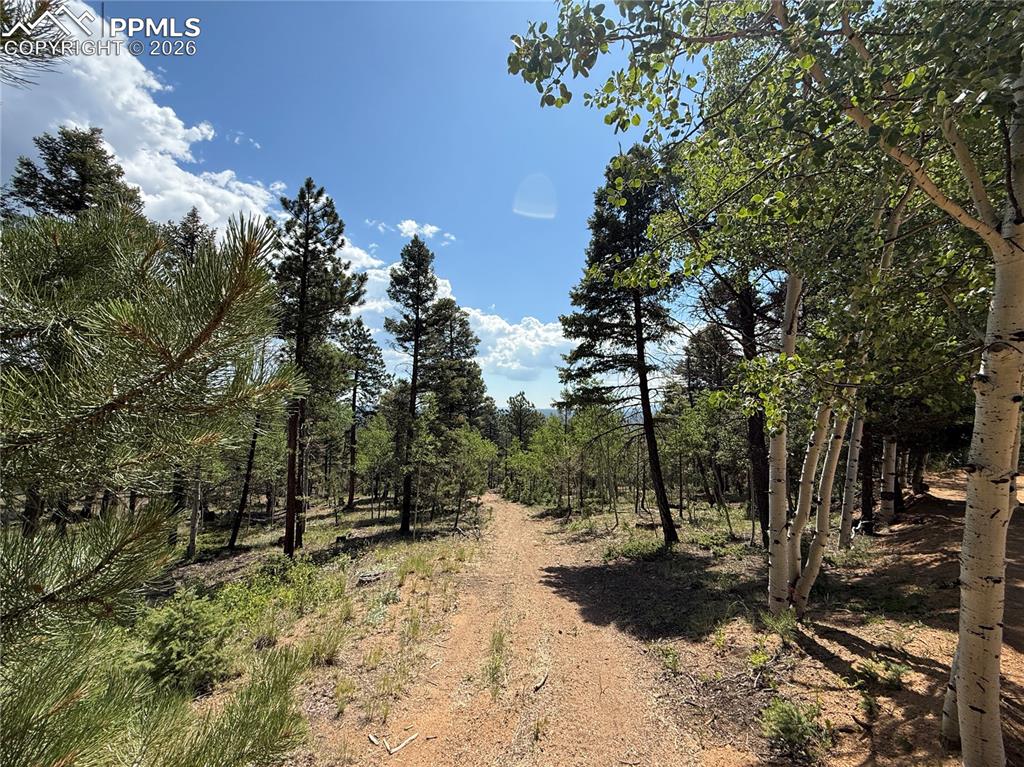 Image 3 of 11: Access onto the lot