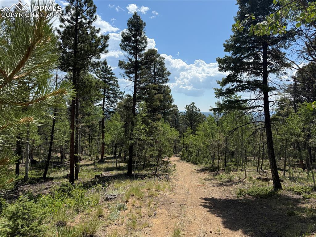 Image 4 of 11: Other