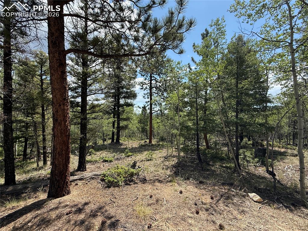 Image 5 of 11: Other