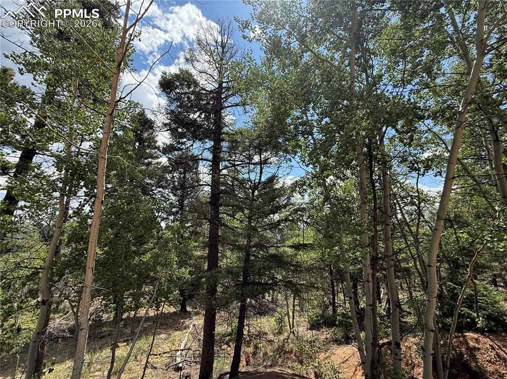 Image 6 of 11: Other