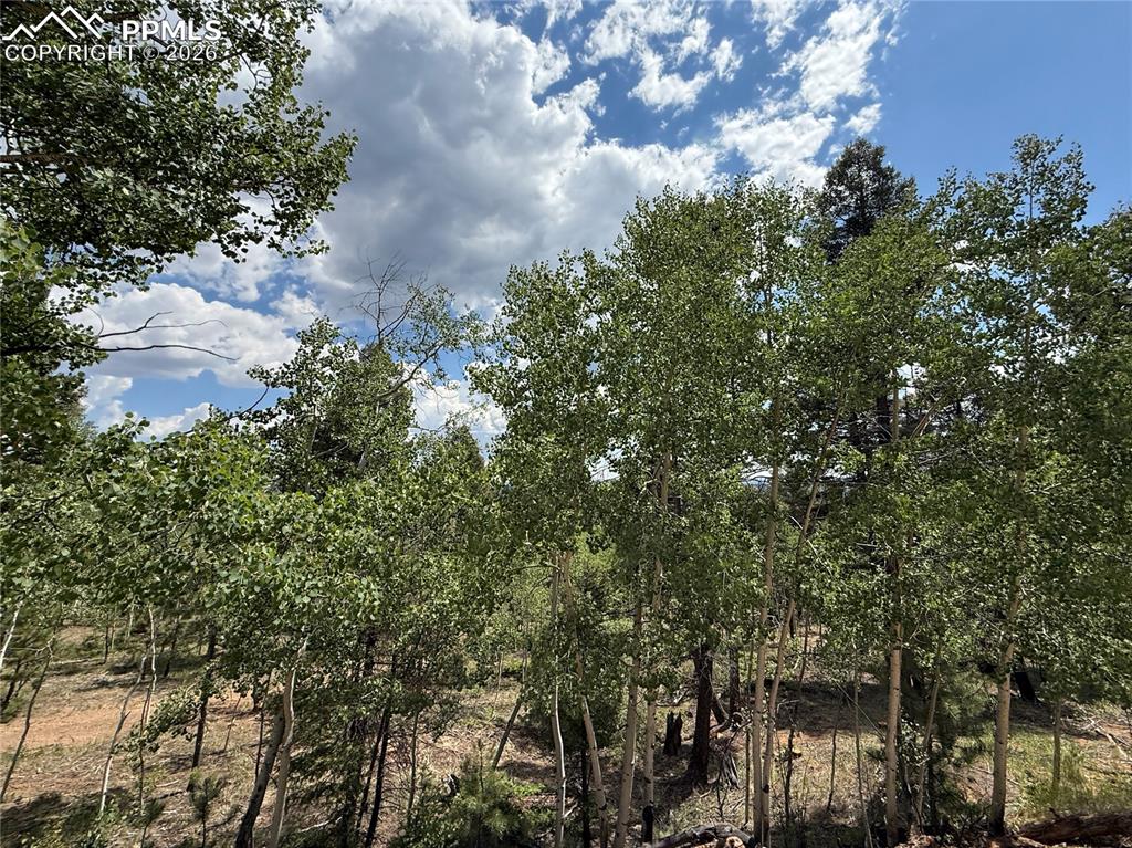 Image 7 of 11: Other