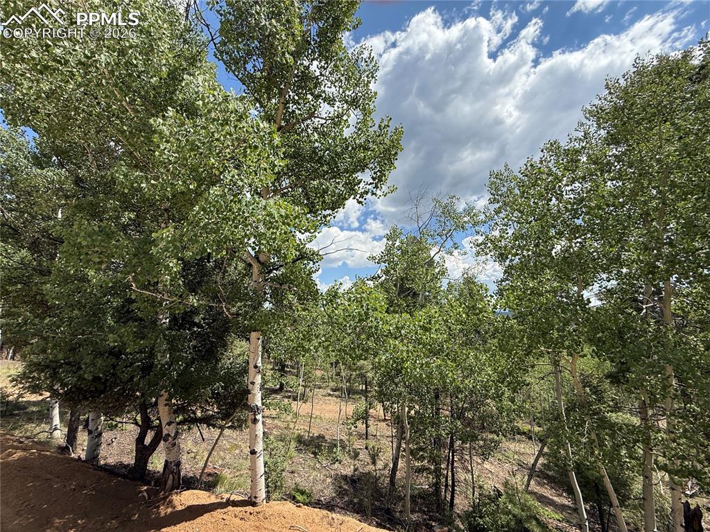 Image 8 of 11: Other