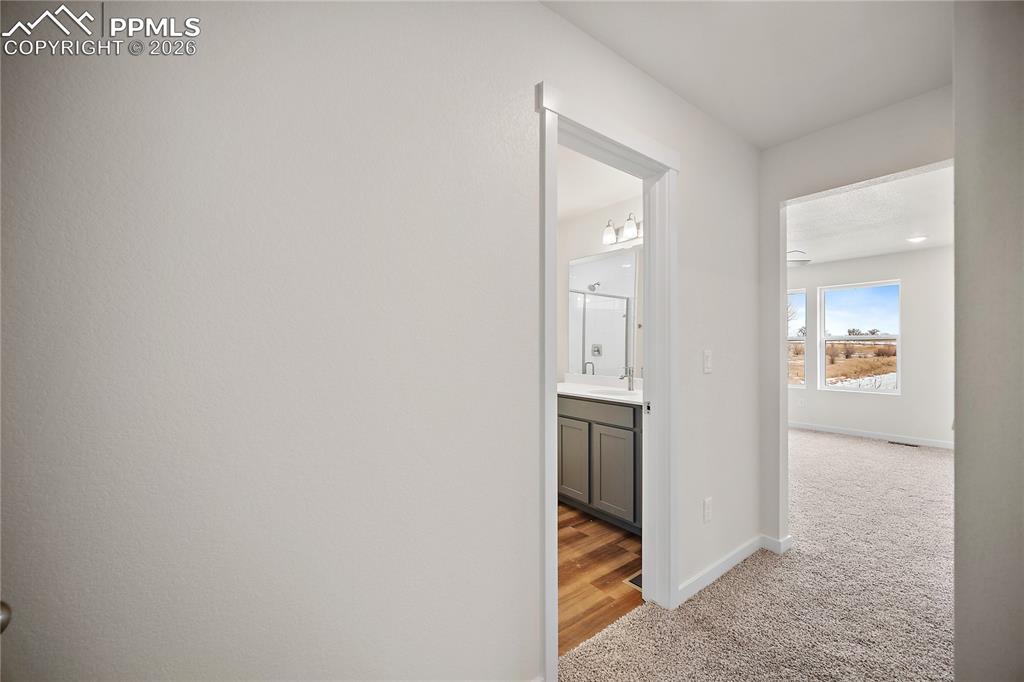 Image 23 of 34: Other