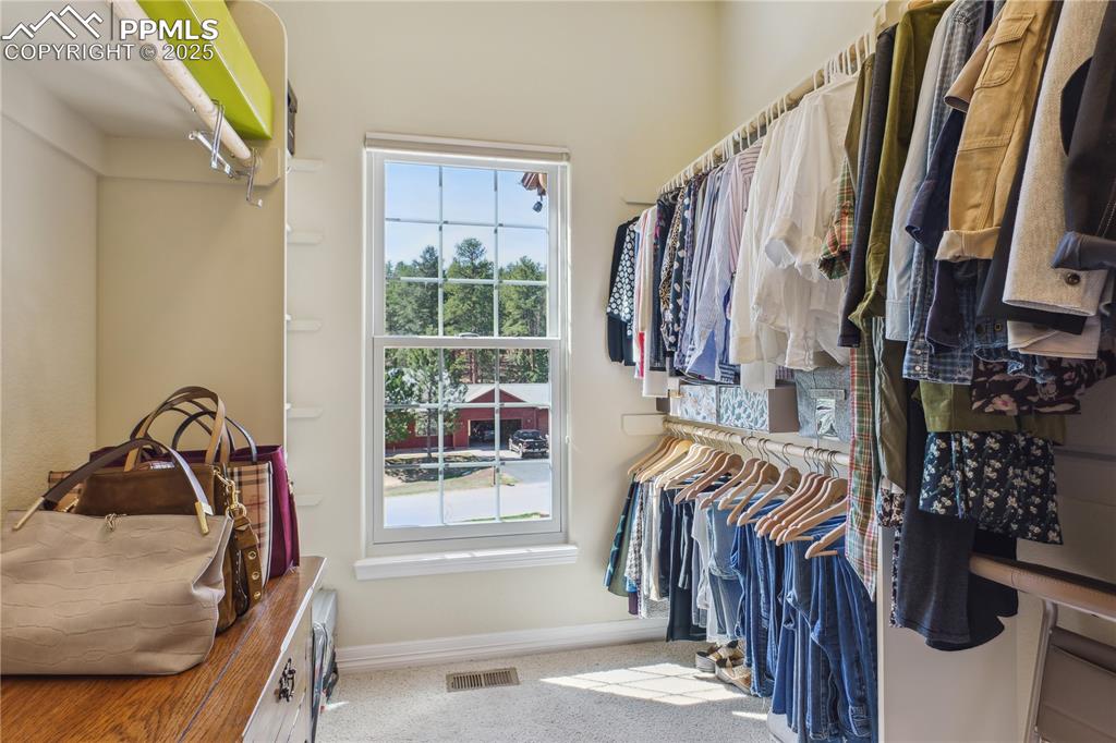 Image 16 of 41: Spacious closet with visible vents and carpet floors