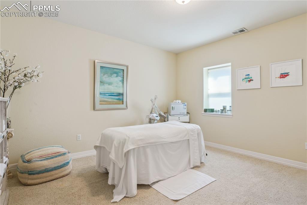 Image 28 of 41: Bedroom with carpet floors, baseboards, and visible vents