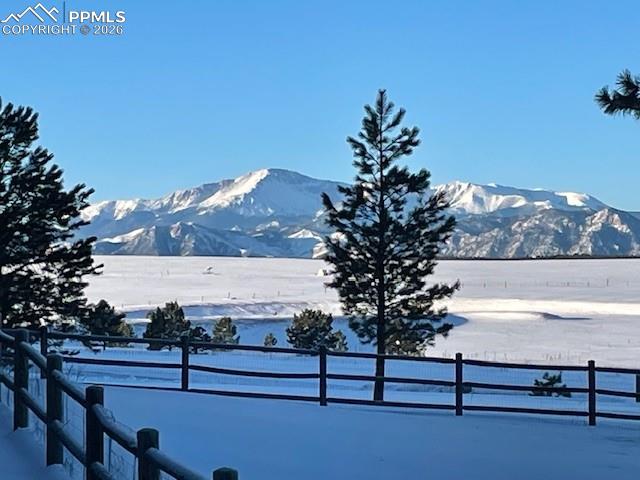 Image 43 of 45: Winter wonderland