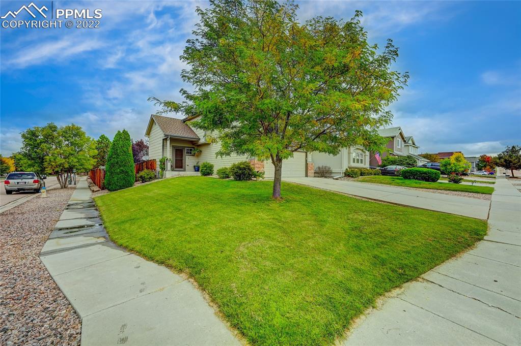 Listing 6917607, Image 35 of 39