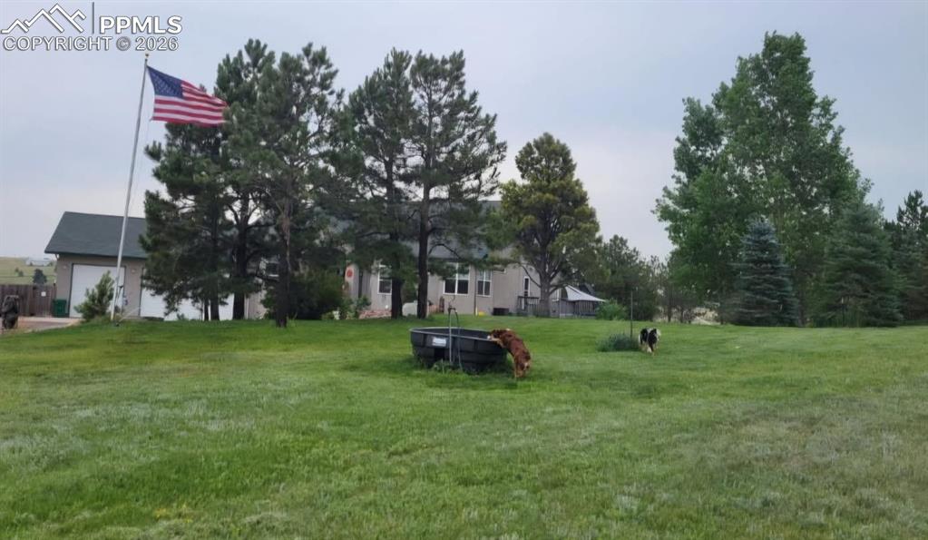 Image 31 of 50: Yard