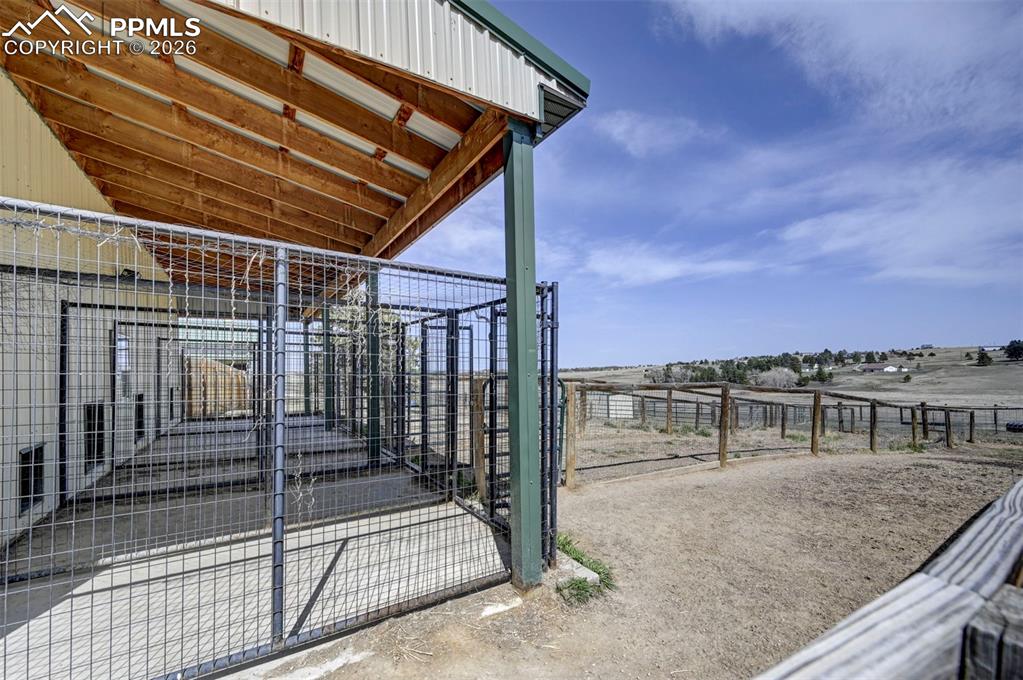 Image 34 of 50: Kennels