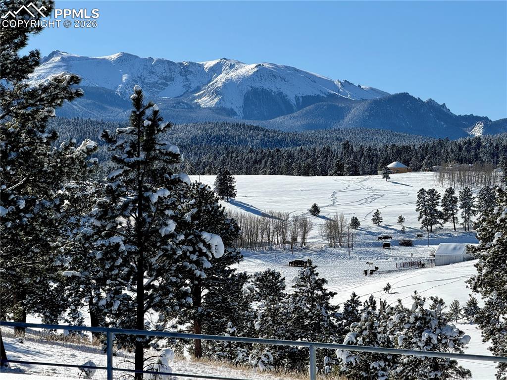 Image 39 of 50: View