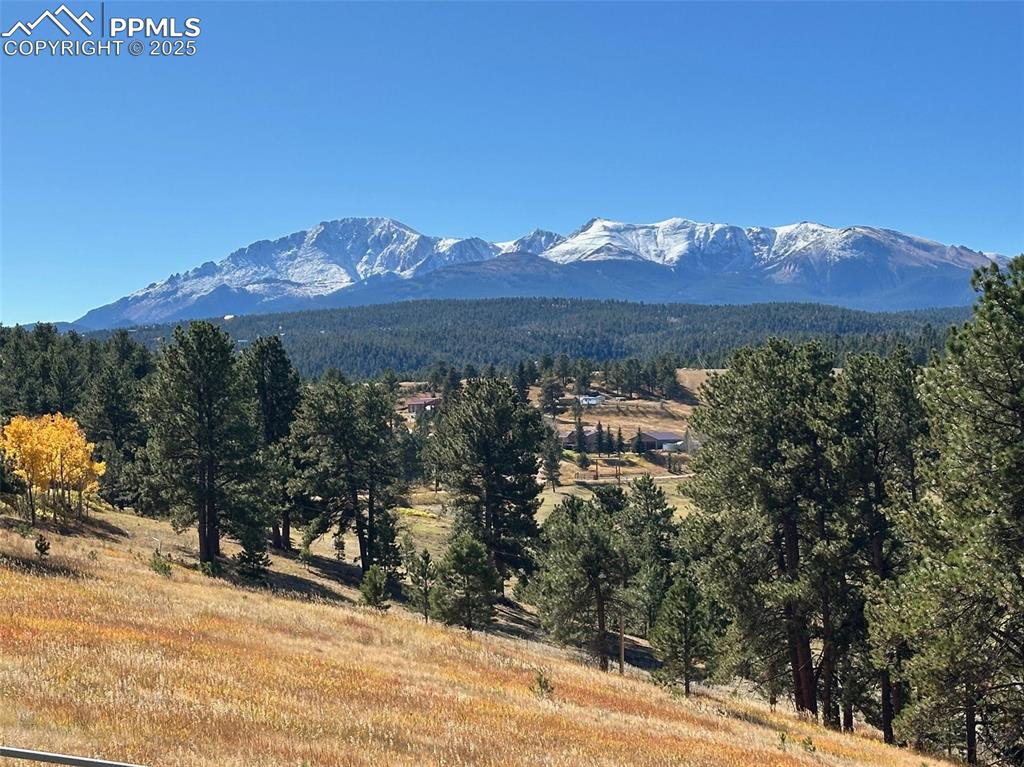 Image 41 of 50: View