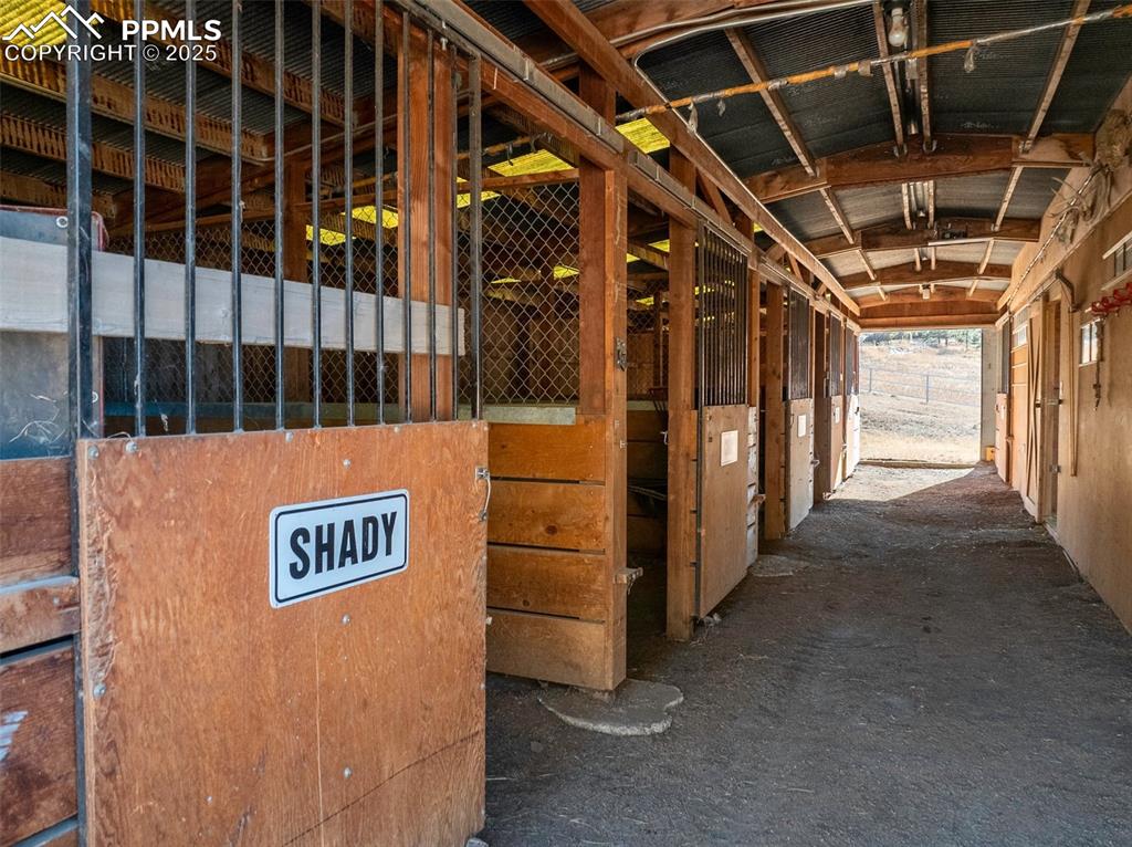 Image 45 of 50: 6 box stalls