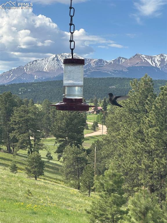 Image 50 of 50: View