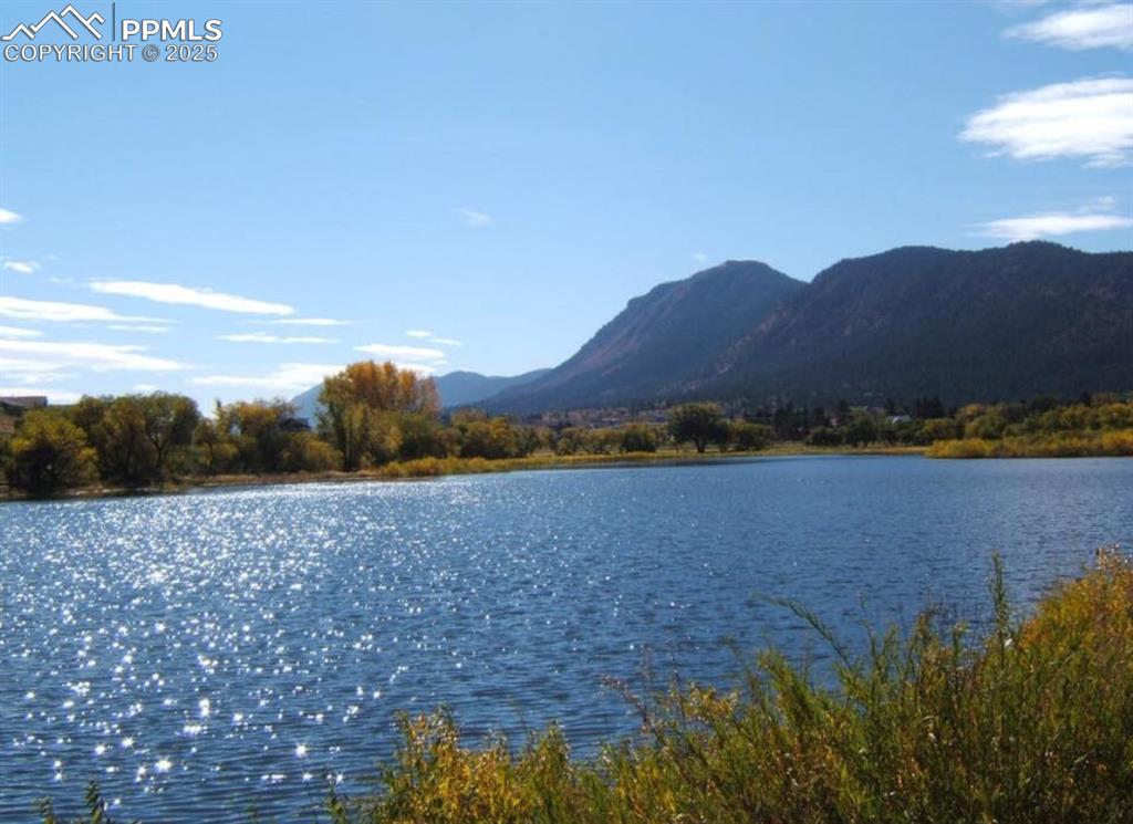 Image 30 of 37: Community