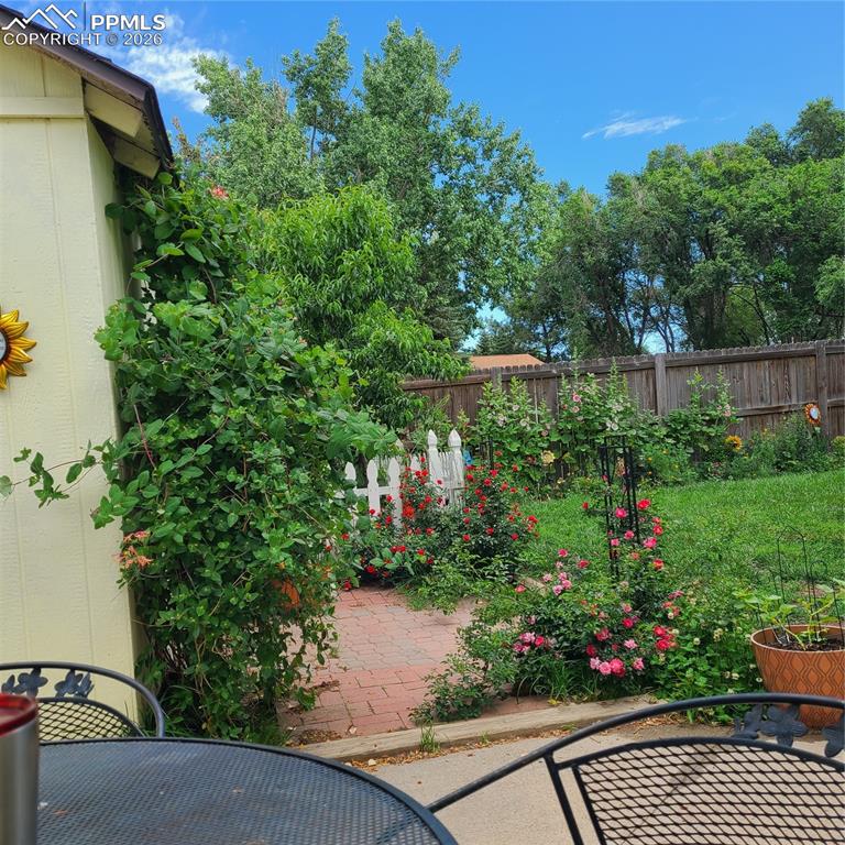 Image 15 of 17: Patio