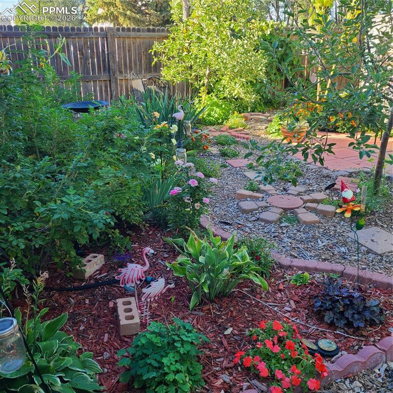 Image 16 of 17: Yard