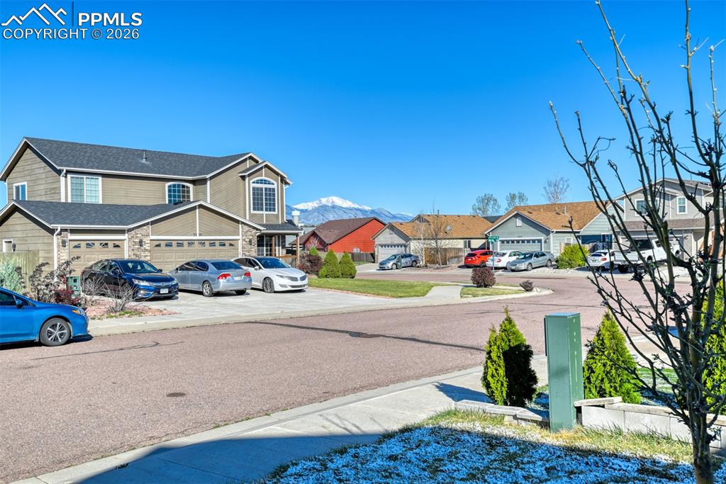 Image 6 of 50: Front yard View