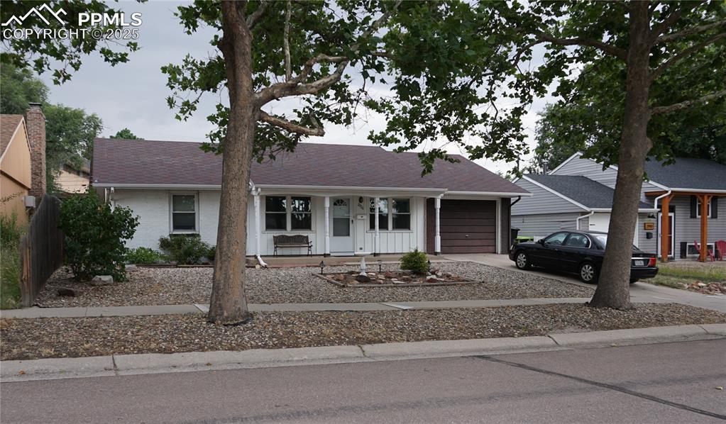 Image 22 of 23: View from the street with two large trees